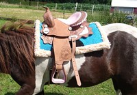 Esposita Westernsattel "Princess" für Kinder, Pony und Shetty Gr. 12" mit Rosa