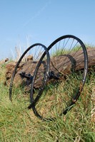 Laufradsatz Tune Cannonball Lefty Prince BOR XMD333 D-Light 1390g Twentyniner 29