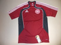 Training Trikot Dänemark 10/11 Orig. adidas Gr. S M XL neu