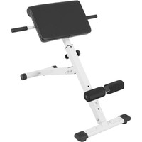 Rückenstrecker klappbar Hyperextensions Rückentrainer Rückenfitness Fitness Fit