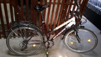 MCKENZIE  Fahrrad 26 Zoll