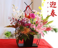 Japanese TV Variety Lots 50 DVDs No English subtitle　2014年お正月年始SPセット-50DVDｓ