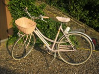 altes Damenrad "velo Schauff" ~1960 Fahrrad vintage Oldtimer rosa Hollandrad