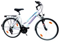 NEUZER Damen Citybike Fahrrad 26" Zoll (=66cm) 18 Gang Alu Federgabel StVZO NEU