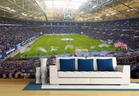 FotoTapete VliesTapete XXL Schalke 04 Stadion (Rolle), Veltins Arena, Heimwerker