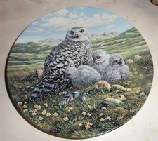Arctic Spring: Snowy Owls Plate Under Mother's Wing Beaudoin 8" $11.98