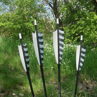 6 Carbonpfeile Warrior White Shark  / Shield