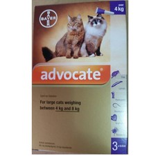 Remedy for fleas in cat care supplies ebay.
