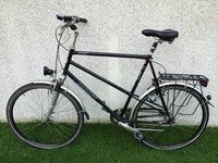 Hartje Livorno Herren Fahrrad XXL 28 Zoll 7 Gang SRAM Spectro 66 cm Rahmenhöhe!!