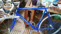 Pinarello Andora Rennrad 