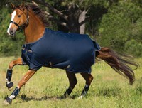 Horseware Amigo Bravo 100g, Regendecke, Amigo Bravo 12 100 g, navy-gold