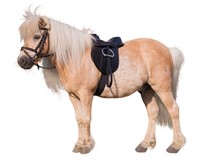 Sattelset Pony Economy  15,0" Sattel Synthetikmaterial schwarz Sattel Kunststoff