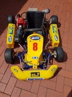 Bambini Kart /Kinder Kart/ Rennkart mit Comer 60 ccm