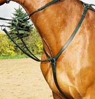 Neu & Edel: Englisches Vorderzeug Jagdvorderzeug VB/WB!