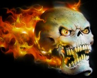 GENIALE "HIGH DETAIL" MULTISTEP STEP BY STEP AIRBRUSH SCHABLONE SM-MS244 STENCIL