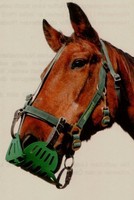 greenguard Halfter, Gr. 60 grün Vollblut NEU grün