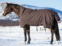 Horseware RHINO Wug Heavy, Rhino Wug Winterdecke 400 g, höherer Hals