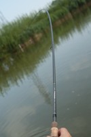 Greys Floatrute Matchrute Match Rute Prodigy TXL Specialist Float 3,96m 0-20g