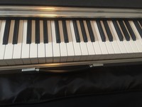 DOEPFER LMK2+ inkl. Gigbag und Netzteil