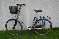 Batavus Damen Hollandrad Fahrrad 28 Zoll 7 Gang Shimano Nexus Trommelbremse 