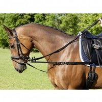 USG Ausbinder NYLON ~ Ausbindezügel ~ 7 D-Ringe ~ nicht elastisch ~ schwarz