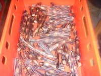  2 kg  Ochsenschwanz 1a Qual. oh. Fett ca. 10-15-25 cm pro Stück aus Oberbay.