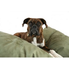 Hidden Valley Medium Sage Rectangle Dog Bed with Gusset