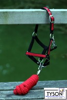 Halfter Strick SET Minishetty Minipony Shetty EXTRA kl. Panikhaken Lila Rosa Rot