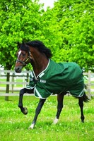 Horseware Rambo Original lite Weidedecke Regendecke green/ silver