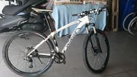 Specialized Stumpjumper 29 er