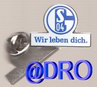 Pin Anstecker + FC Schalke 04 + Wir leben dich + Corporate Design + NEU + 2012 +
