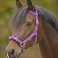 Kappzaum Economic von Waldhausen 8094 Nylon, lila , Pony, VB, WB Sonderpreis