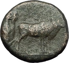 AUGUSTUS 27BC Philippi Macedonia PRIESTS Founding City Oxen Roman Coin i59411