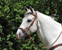 WESTERN Sidepull Acrylsteine a.d.Nasenriemen flacher doppeltgenähter Nasenriemen