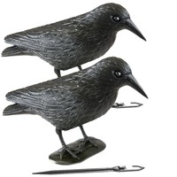 2er PACK TAUBENSCHRECK  Rabe Krähe Vogelschreck Lockvogel Taubenabwehr
