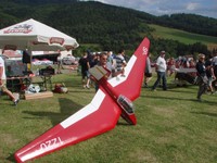 SZD-6X Nietoperz  Oldgliders 