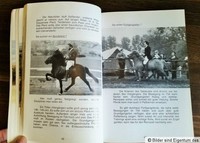 Handbuch Islandpferde * Geschichte Haltung Ausbildung Fotos * 1975 SELTEN