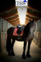 Barock Schabracke Antik Bordeaux Weinrot Blumen Samt DR o VS Spanisch Dick Tyson