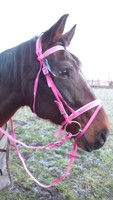  Trense in pink,Synthetik/Biothane,pflegeleicht Gr.Pony,Cob und Full