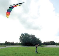 Kompletter Drachen Lenkdrachen Lenkmatte mit 2 Meter Spannweite inkl. 30m Schnur