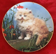 1995 Princeton Gallery "Precious Pearl" Apricot Kitten Cat Plate by Guy Withers