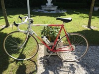 +++ GIANT RENNRAD +++ WIE NEU +++FAHRRAD ROT/WEISS+++ ������ 2x GEFAHREN ������