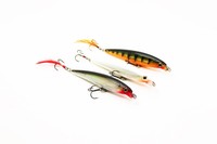 Rapala X-RAP 10 cm Wobbler RAUBFISCH-HOTSPOT PREISHIT!!!