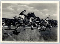 50949189 - Pferderennen Hindernisspringen