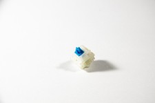 10 PCs Gateron Blue with White Holder 5 Pin PCB Mount Mechanical Switch Keyboard