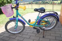 Pegasus Kinder Fahrrad 18 Zoll Mädchen und Jungs