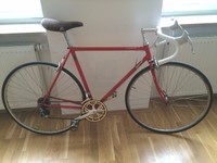 Rennrad Allegro Campagnolo