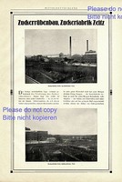 Zuckerfabrik Zeitz XXL Reklame 1925 Zuckerrüben Werbung ad +
