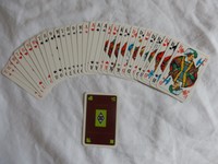 BORUSSIA MÖNCHENGLADBACH SKATKARTEN (NEU)