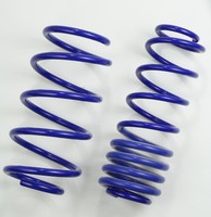 AP Federn Springs Tieferlegung 40/00 FS20-110 BMW 7er E38